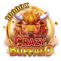 crazy buffalo